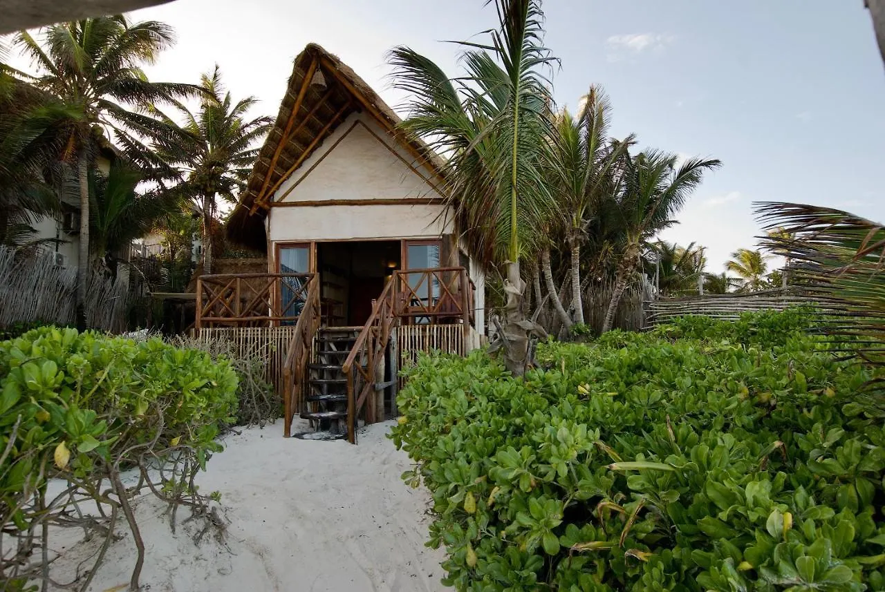 ****  Hotel Tata Tulum - Adults Only Mexique